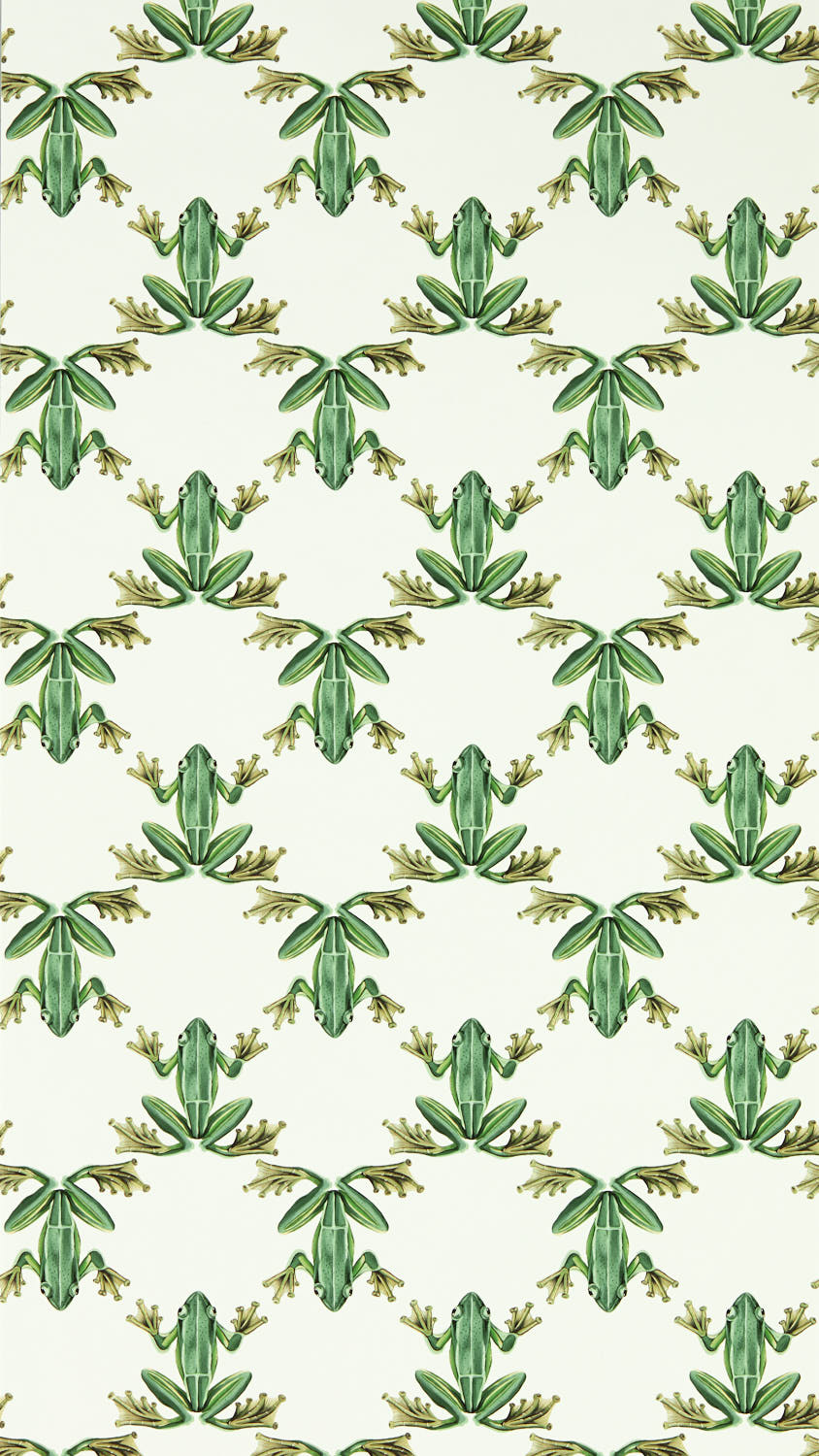 Harlequin Colour 4 Wood Frog Wallpaper