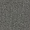 Black-earth-chalk Colour Swatch