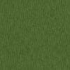 Evergreen Colour Swatch
