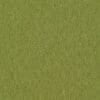 Avocado Colour Swatch