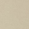 Champagne Colour Swatch