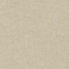 Beige Colour Swatch