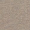 Seashell Colour Swatch