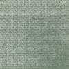 Spruce Colour Swatch