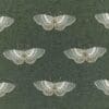 Spruce Colour Swatch