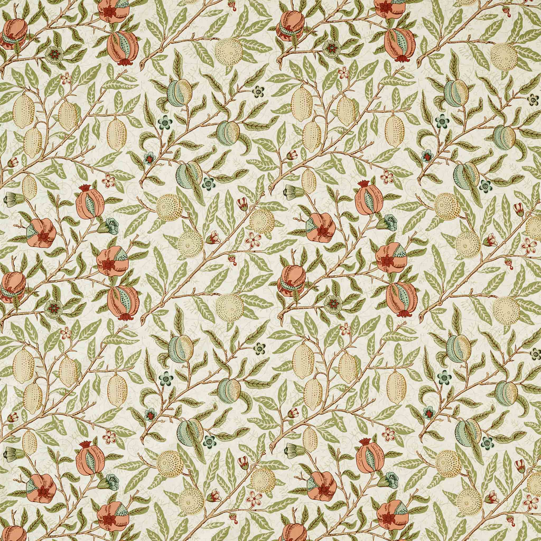 Morris