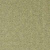 Olive Colour Swatch