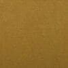 Turmeric Colour Swatch