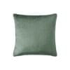 Ivy-green Colour Swatch