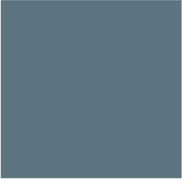 Paint