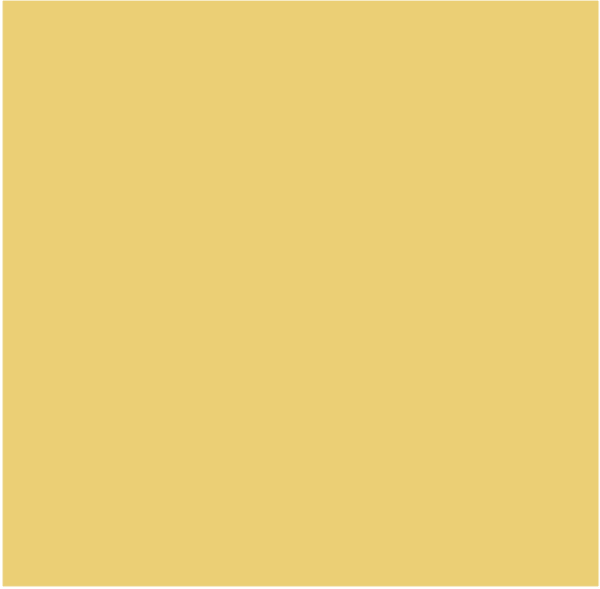 Paint
