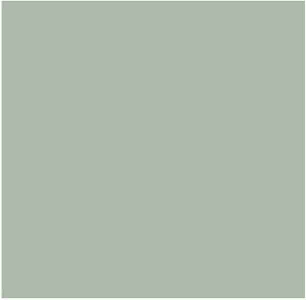 Paint