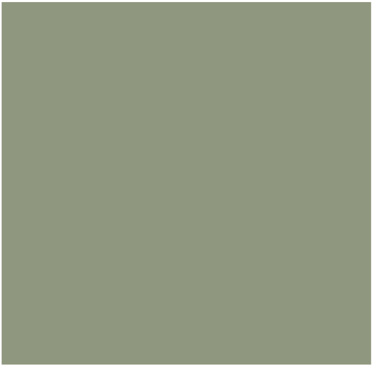 Paint