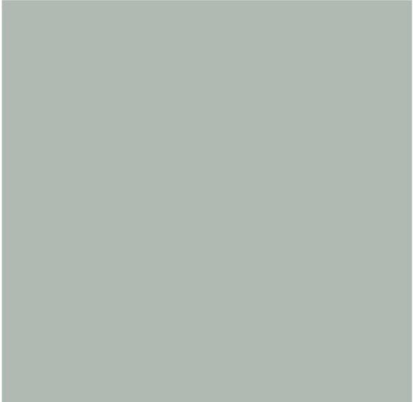 Paint