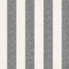 Charcoal Colour Swatch