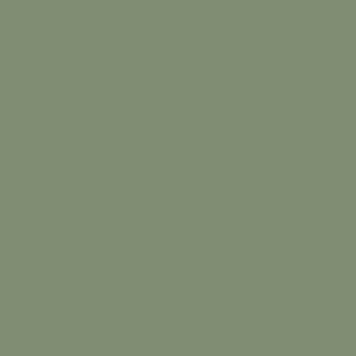 Sanderson Paint Devon Green