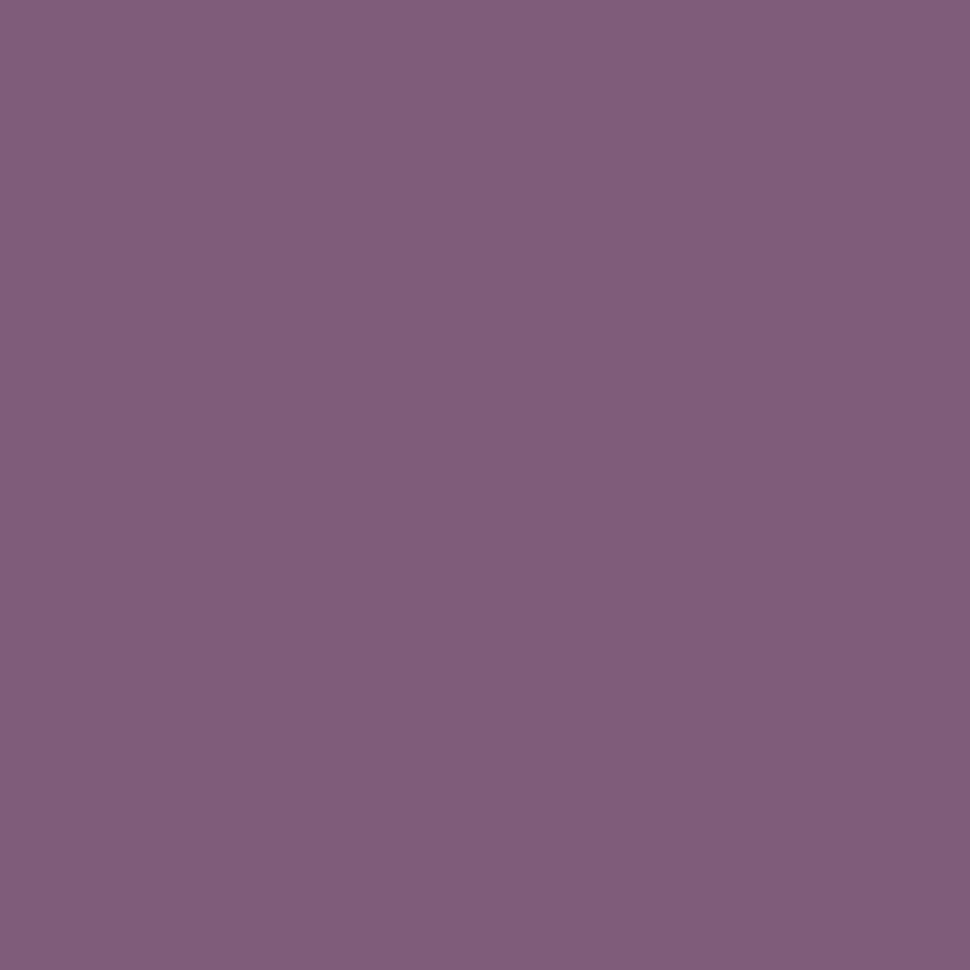 Sanderson Paint Meadow Violet