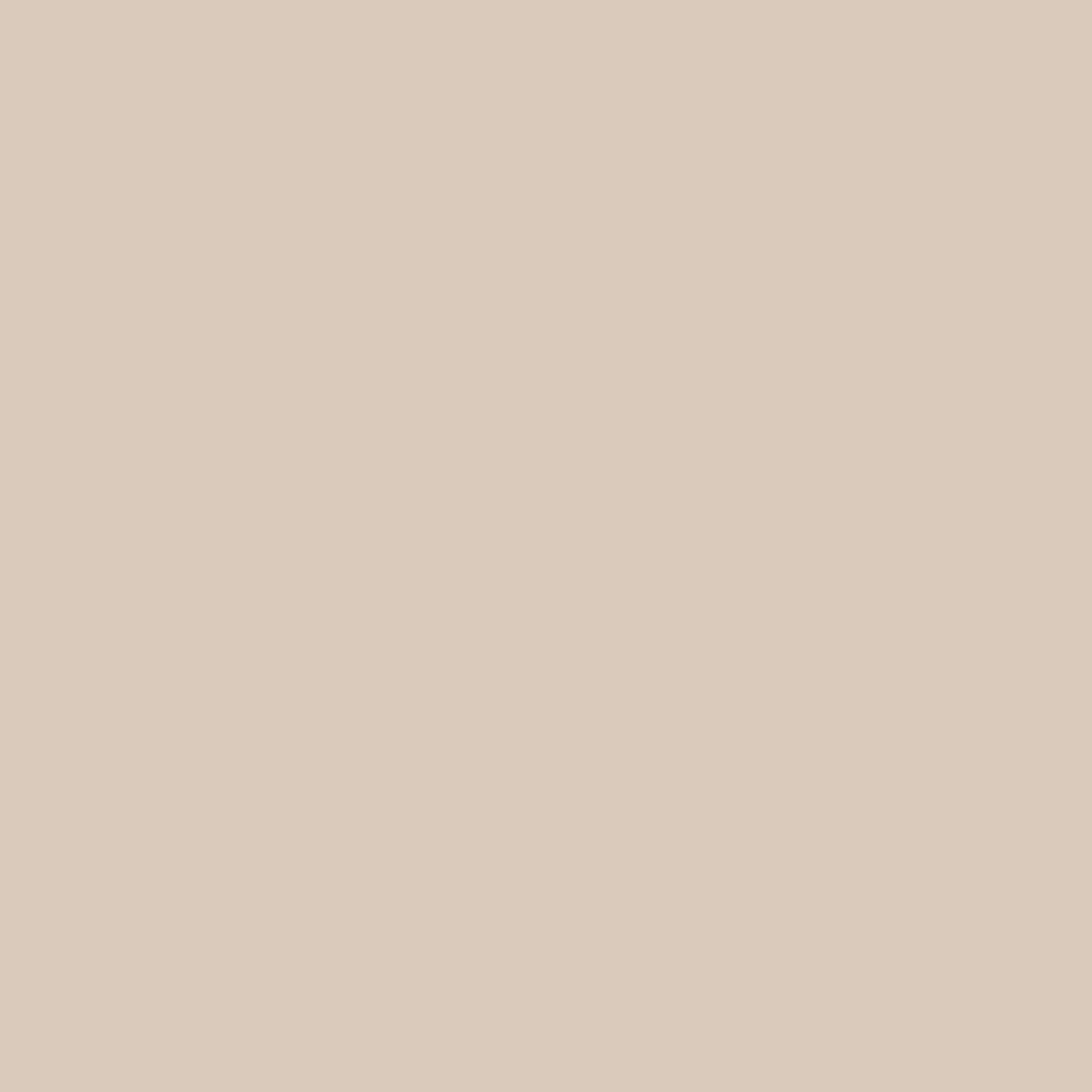 Sanderson Paint Mushroom Grey Light