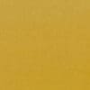 Swatch for colour plantain