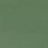 Dill Colour Swatch
