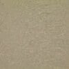 Thyme Colour Swatch
