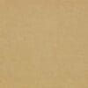 Brass Colour Swatch