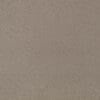 Ash Colour Swatch