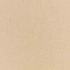 Swatch for colour buff