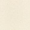 Bone Colour Swatch