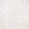 Birch Colour Swatch