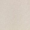 Birch Colour Swatch